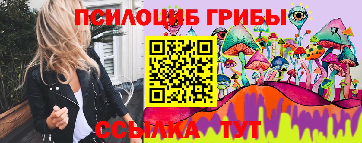 купить  цена  Вход с VPN  Кимовск  Псилоцибиновые грибы прущие грибы 